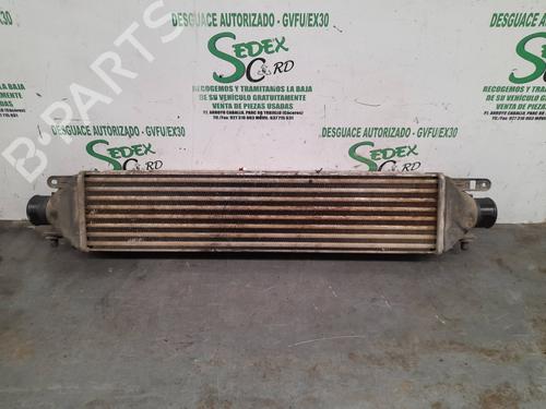 Used Intercooler FIAT BRAVO II (198_) 1.9 D Multijet (198AXC1B) (150 hp) 25320963