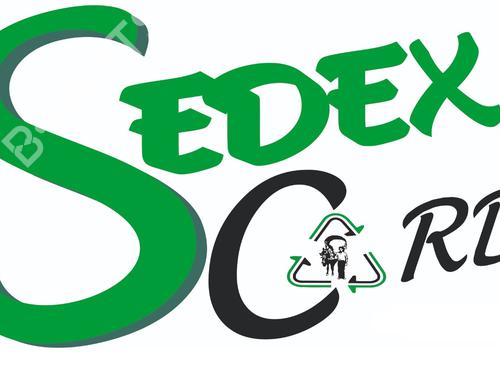 Used Engine RENAULT MEGANE II (BM0/1_, CM0/1_) [2001-2012]  26190738