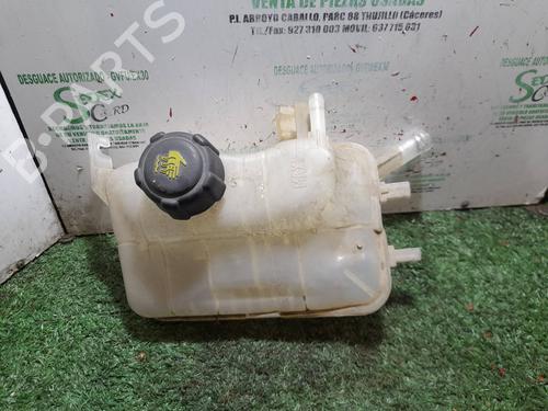 Used Expansion tank RENAULT MEGANE III Grandtour (KZ0/1) [2008-2016]  25311652