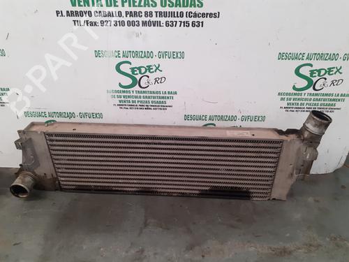 Intercooler RENAULT MEGANE II (BM0/1_, CM0/1_)  | BP25319971M30 