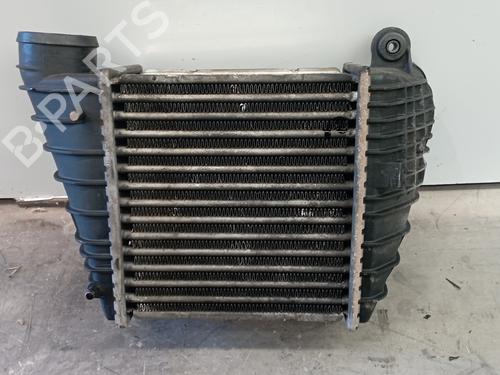 Intercooler SKODA OCTAVIA I (1U2)  | BP25319653M30 