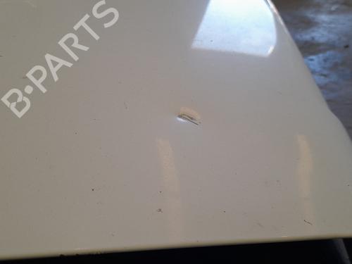 Right tailgate RENAULT MASTER III Van (FV) 2.3 dCi 165 FWD (FV0P, FV0U, FV11, FV12, FV1E) | BP29633468C77 