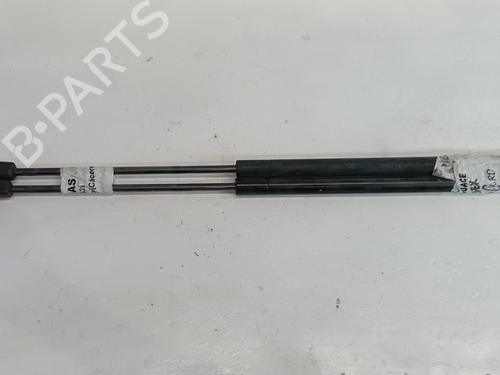 Used Tailgate lift support RENAULT MEGANE II Estate (KM0/1_) 1.5 dCi (KM16) (103 hp) 25310175