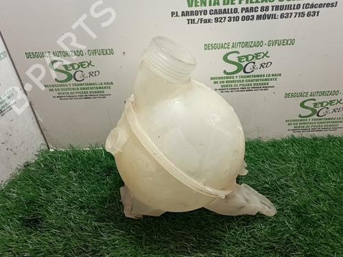 Used Expansion tank PEUGEOT 207 (WA_, WC_) [2006-2015]  25309610