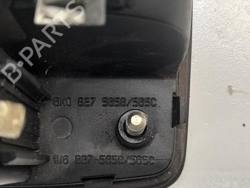 Tailgate handle SEAT IBIZA II (6K1)  | BP25310140C132 