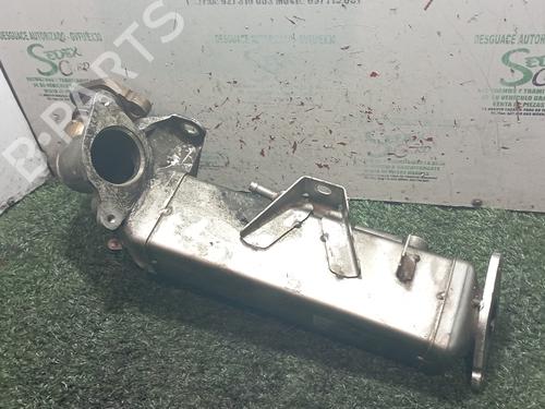 Egr BMW 5 (F10)  | BP29411015M69 