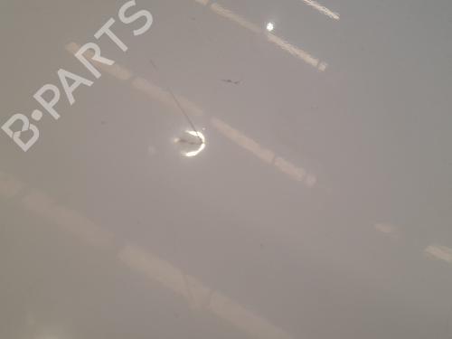 Right tailgate RENAULT MASTER III Van (FV)  | BP29633470C77 