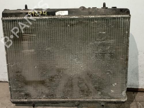 Water radiator PEUGEOT 308 I (4A_, 4C_)  | BP25319046M31 