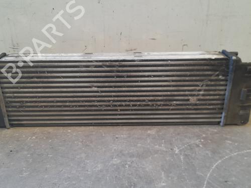 Intercooler MERCEDES-BENZ SPRINTER 3-t Van (B906) 211 CDI (906.611, 906.613) | BP25321366M30 
