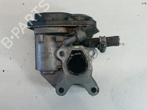 Egr NISSAN PATHFINDER III (R51)  | BP25328305M69