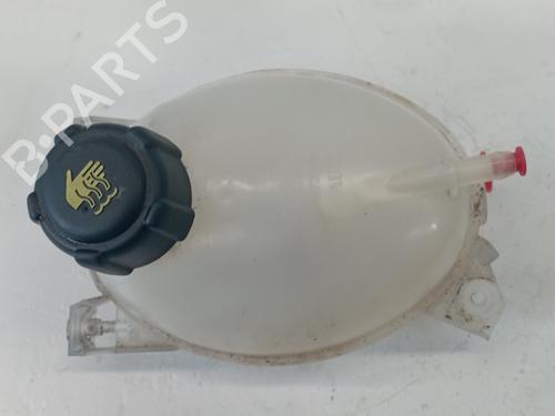 Used Expansion tank DACIA SANDERO II [2012-2025]  25310626