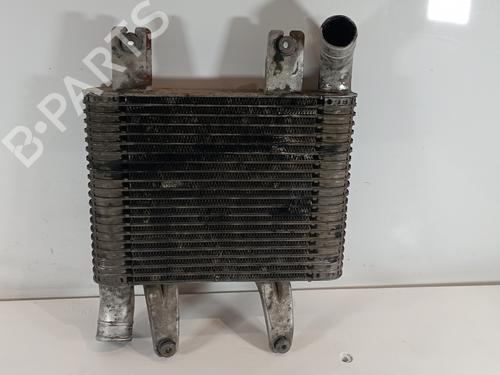 Used Intercooler HYUNDAI TERRACAN (HP) [2001-2008]  25324364
