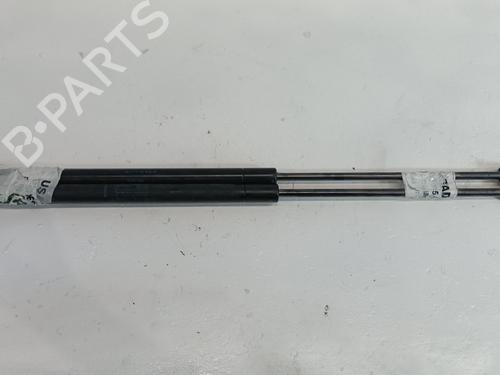 Tailgate lift support RENAULT MEGANE II Estate (KM0/1_) 1.5 dCi (KM16) | BP25310175C138 