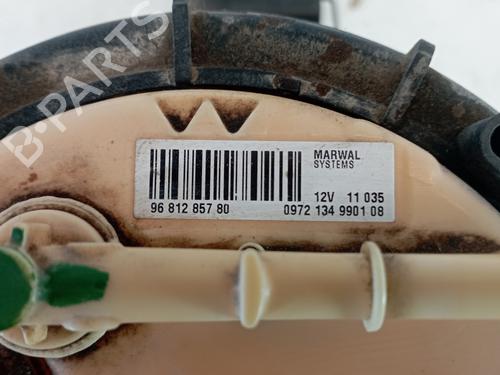 Fuel pump PEUGEOT 308 I (4A_, 4C_)  | BP25319599M76 