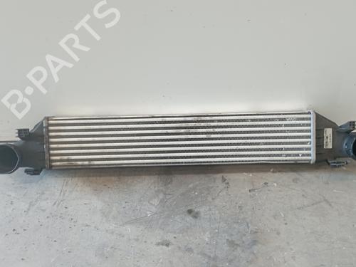 Used Intercooler MERCEDES-BENZ CLK (C209) CLK 270 CDI (209.316) (170 hp) 25325460