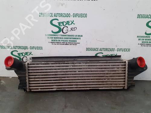 Intercooler RENAULT KANGOO (KC0/1_) [1997-2025]  25317572