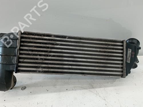 Intercooler CITROËN C8 (EA_, EB_) 2.2 HDi | BP25318983M30 