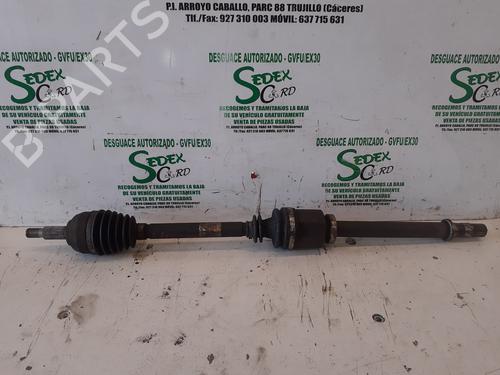 Used Right front driveshaft RENAULT SCÉNIC II (JM0/1_) [2003-2010]  25320475