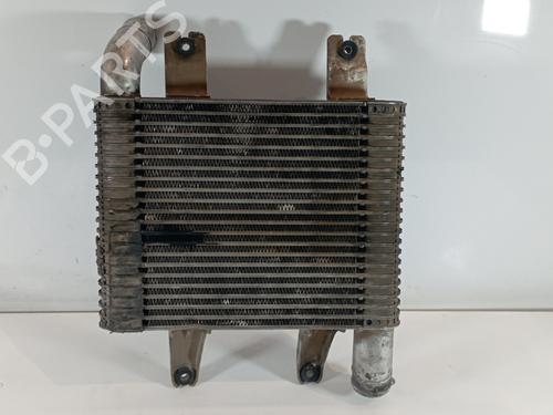 Intercooler HYUNDAI TERRACAN (HP)  | BP25324364M30 