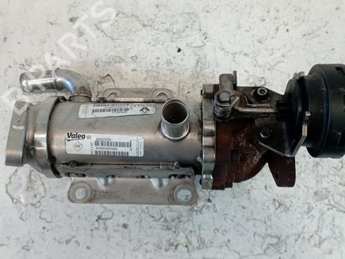 Egr RENAULT MEGANE II (BM0/1_, CM0/1_) 2.0 dCi (BM1K, CM1K) | BP25324504M69 