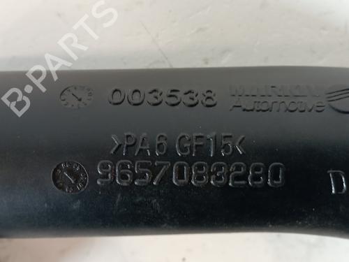 Used Pipe CITROËN XSARA PICASSO (N68) 1.6 HDi (90 hp) 25310211