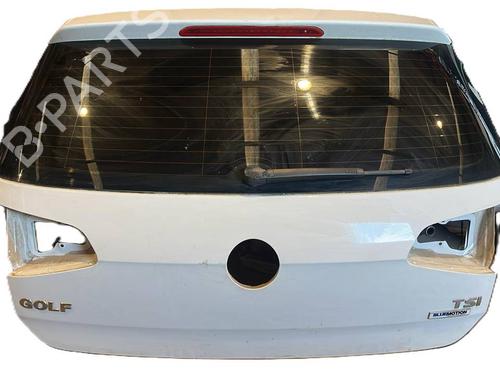Used Tailgate Tailgate 38723328 38723328