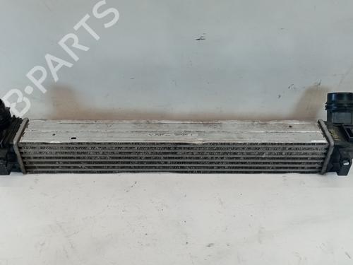 Intercooler RENAULT MEGANE III Hatchback (BZ0/1_, B3_) 1.5 dCi (BZ09, BZ0D, BZ1W, BZ29, BZ14) (110 hp) 25324711