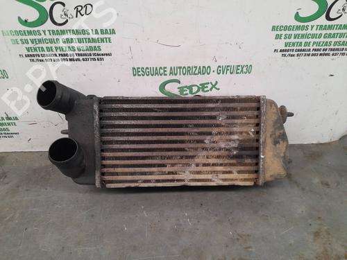 Ladeluftkühler für CITROËN C3 I (FC_, FN_) [2002-2013]  25317670
