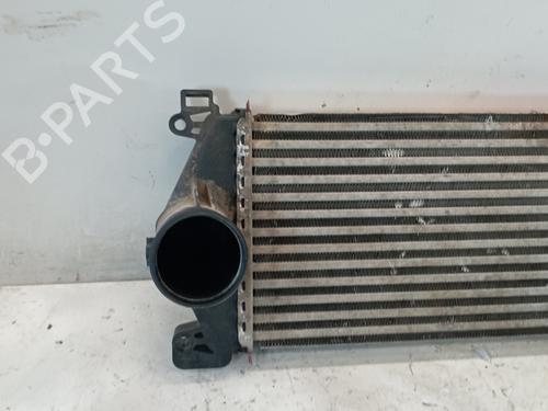 Intercooler RENAULT MASCOTT Platform/Chassis (UH_, HH_)  | BP25324681M30 