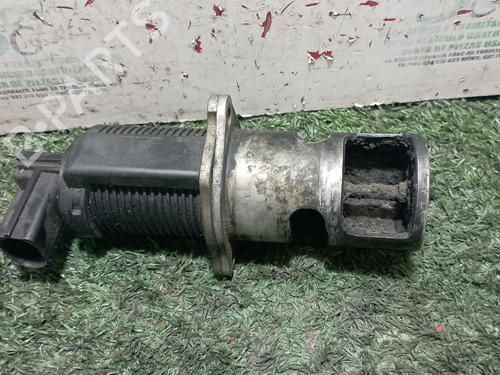 Egr RENAULT MEGANE II (BM0/1_, CM0/1_)  | BP25318233M69 