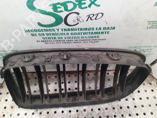 Grille BMW 5 (F10) | BP29411000C40