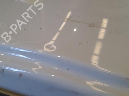 Left tailgate RENAULT MASTER III Van (FV)  | BP29633469C76 