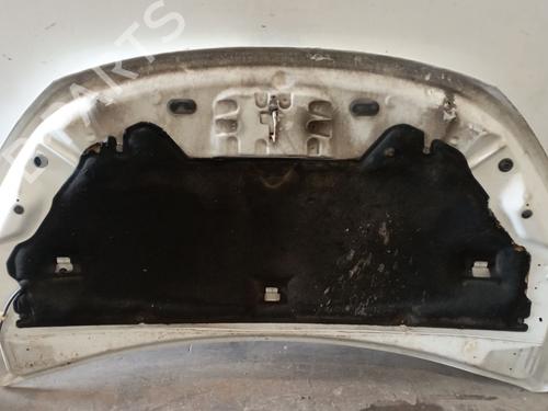 Hood DACIA LODGY (JS_) 1.5 Blue dCi 115 (JSJT) | BP29862003C1 