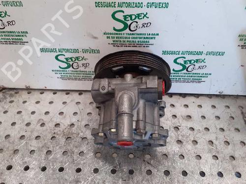 Steering pump SEAT IBIZA II (6K1)  | BP25313591M99