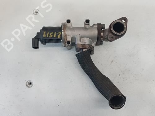 Egr FIAT PUNTO (188_) 1.9 JTD 80 (188.237, .257, .337, .357) | BP25309903M69 