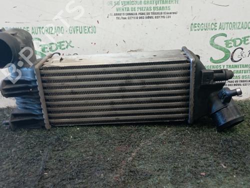 Used Intercooler PEUGEOT 406 (8B) [1995-2005]  25318938