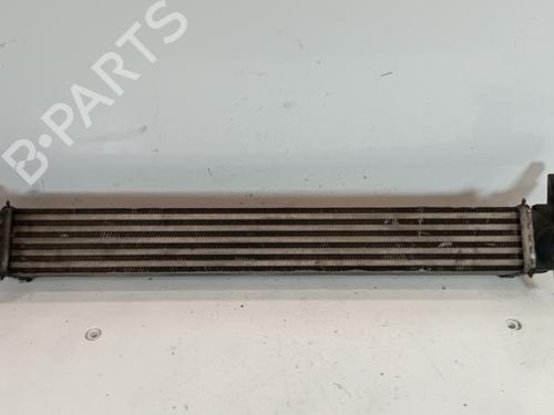 Used Water radiator VW POLO V (6R1, 6C1) [2009-2022]  25323968