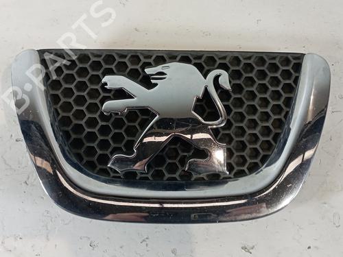 Used Grille PEUGEOT 307 CC (3B) [2003-2009]  25309402