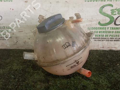 Used Expansion tank VW CADDY III MPV (2KB, 2KJ, 2CB, 2CJ) [2004-2016]  25308479