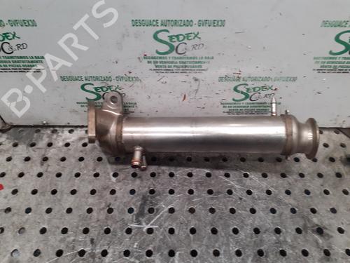Egr RENAULT VEL SATIS (BJ0_)  | BP25314902M69 