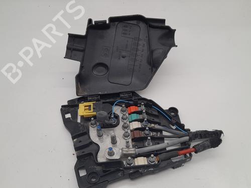 Fuse box CITROËN C3 II (SC_)  | BP25319555E1 