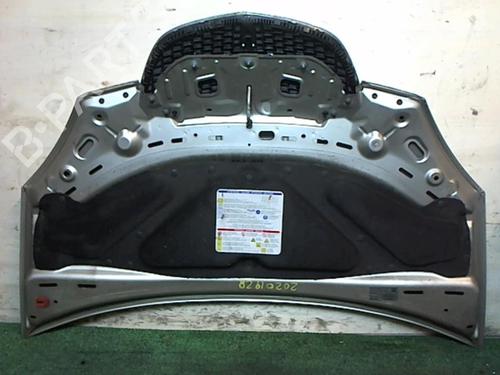 Hood LANCIA MUSA (350_) 1.9 D Multijet (350.AXC1A) | BP25650728C1 