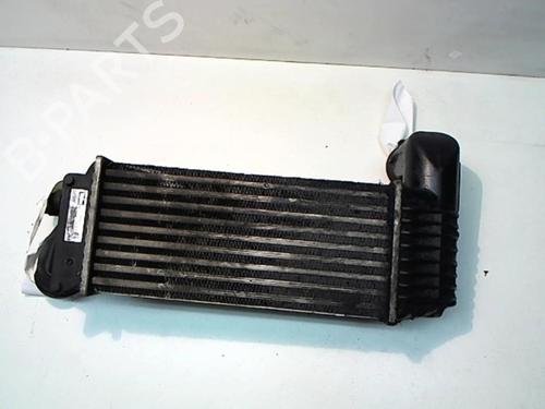Used Intercooler Intercooler PEUGEOT 607 (9D, 9U) 2.2 HDi (133 hp) 25641624 25641624