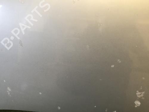 BP29968693C1 main image