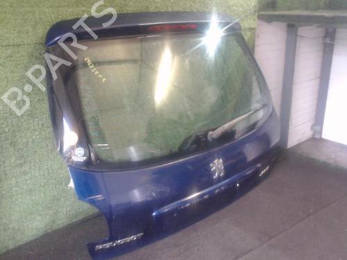 Bakluke CC/Kombi-Kupé PEUGEOT 206 Hatchback (2A/C) 1.1 i | BP25647609C6 