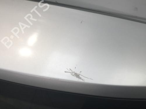 Tailgate RENAULT SCÉNIC II (JM0/1_) 1.9 dCi (JM0G, JM12, JM1G, JM2C) | BP30174263C6 