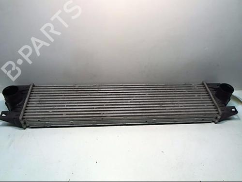 Used Intercooler Intercooler RENAULT MASTER II Van (FD) 2.5 dCi 100 (FD0U, FD0V, FD3U, FD3V, FD8U, FD8V) (99 hp) 25651453 25651453