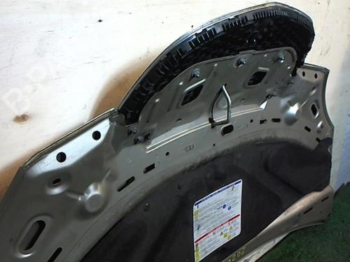 Hood LANCIA MUSA (350_) 1.9 D Multijet (350.AXC1A) | BP25650728C1 