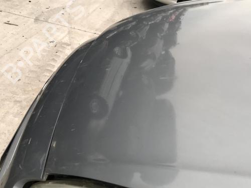 Right front door FIAT GRANDE PUNTO (199_) 1.3 D Multijet | BP25631333C3 