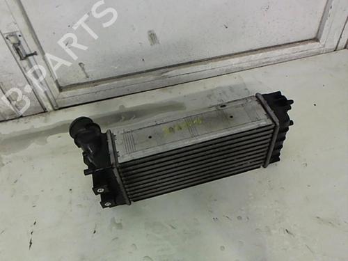 Used Intercooler Intercooler PEUGEOT 3008 I MPV (0U_) 1.6 HDi (114 hp) 25649254 25649254